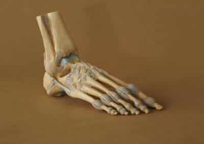 Foot Mobilisation Therapy – What Is It and How Can It Help You?